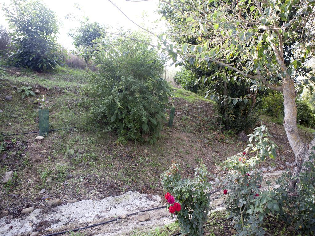 Casa Rural Vega El Dorado San Pablo ภายนอก รูปภาพ
